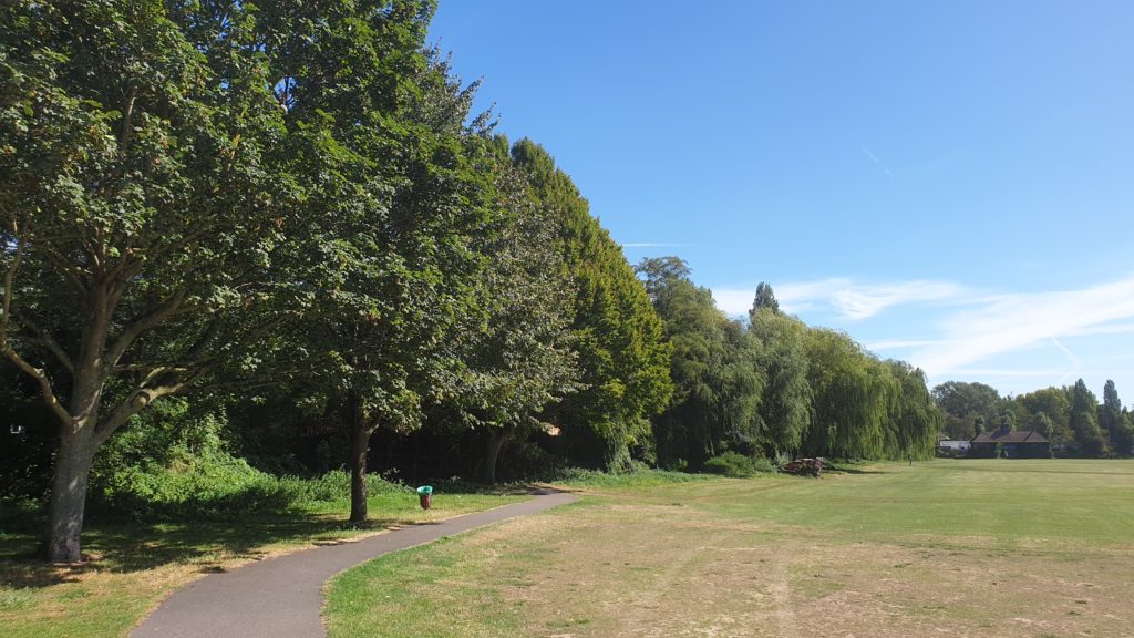 Treeline at risk in Christchurch meadows